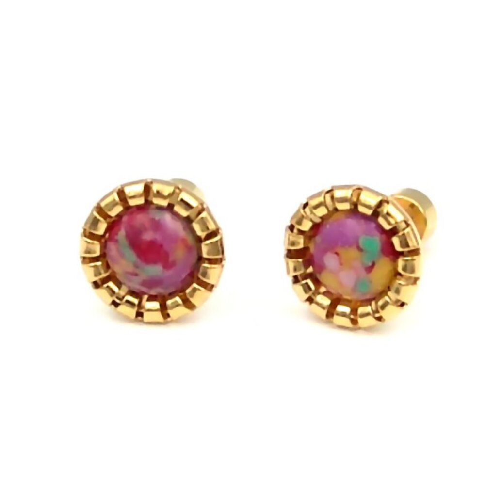 Gold PVD Screw Back Earrings Hypoallergenic Surgical Steel Colorful Boxed